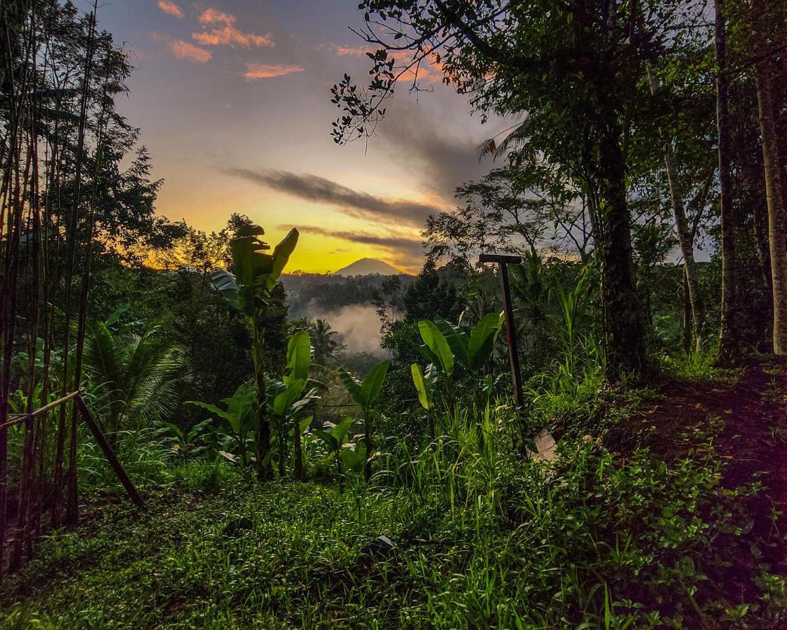 Delta Casa Ubud-Jungle Villas With Volcano View Payangan Exterior foto