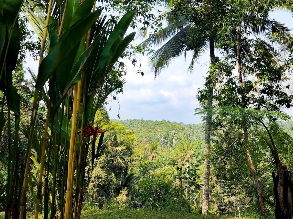 Delta Casa Ubud-Jungle Villas With Volcano View Payangan Exterior foto