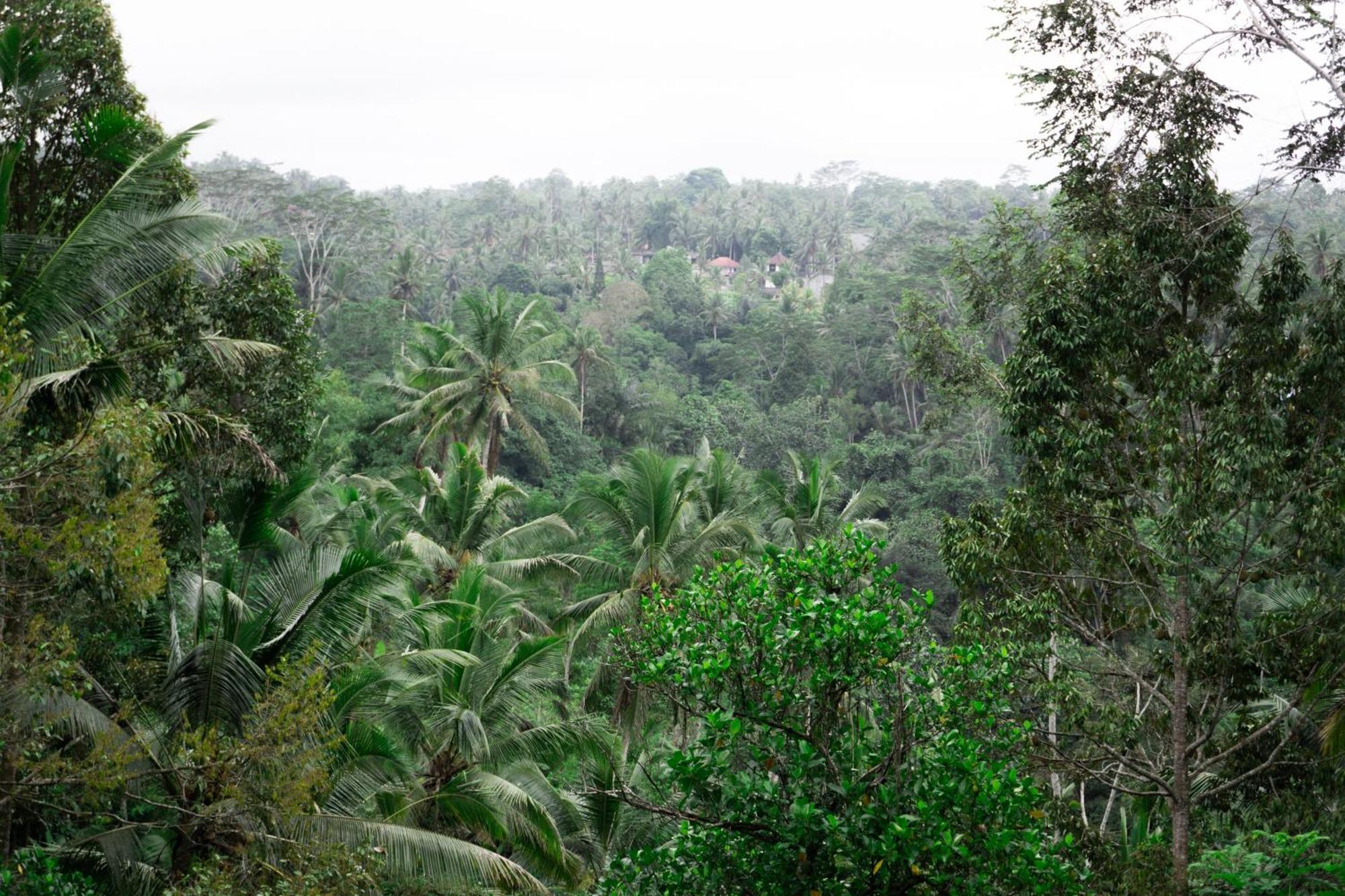 Delta Casa Ubud-Jungle Villas With Volcano View Payangan Exterior foto